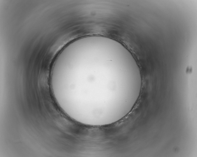 X0000089940146200707201911