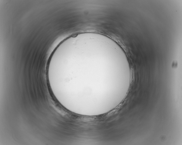 X0000089940147200707201911