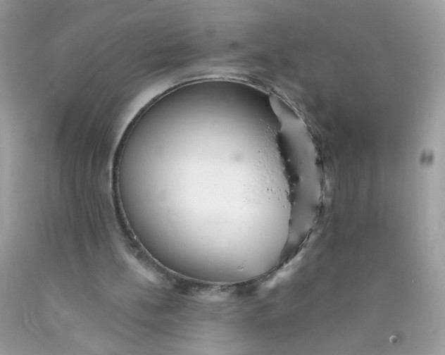 X0000089940148200707201911