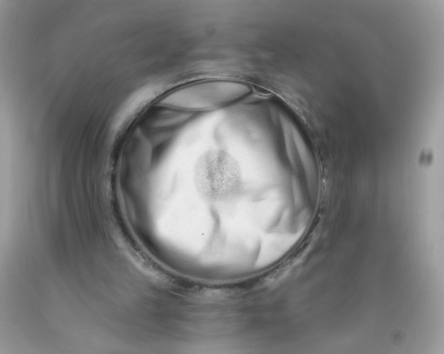 X0000089940149200707201911