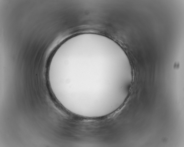 X0000089940150200707201911
