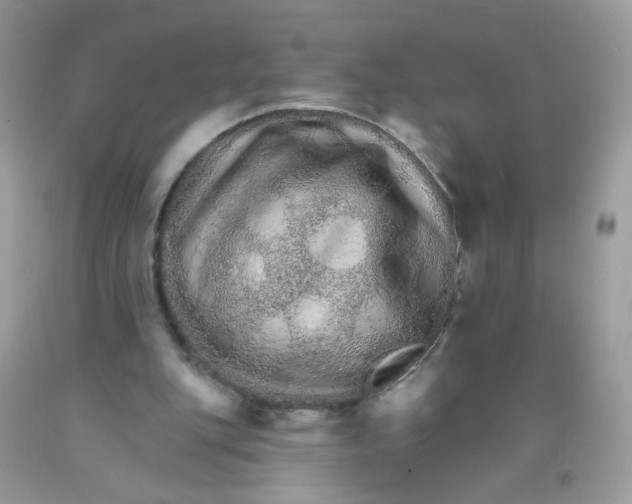 X0000089940151200707201911