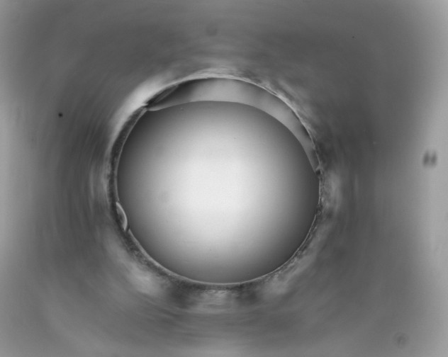 X0000089940152200707201911
