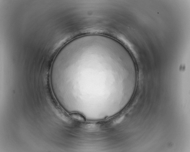 X0000089940153200707201911