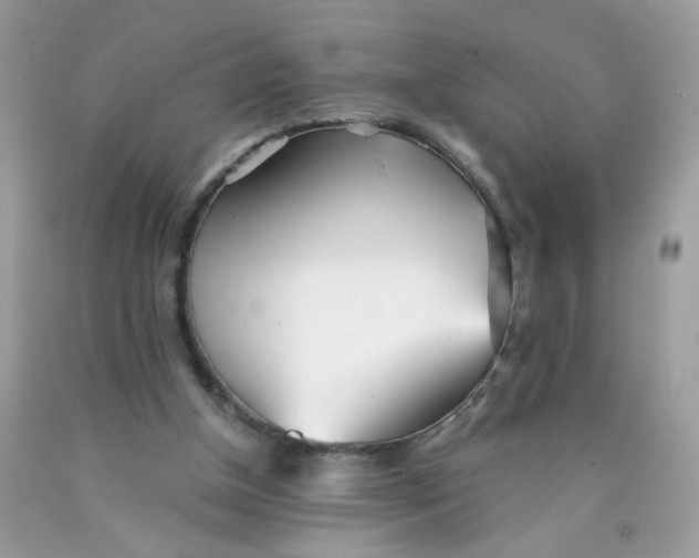 X0000089940154200707201911