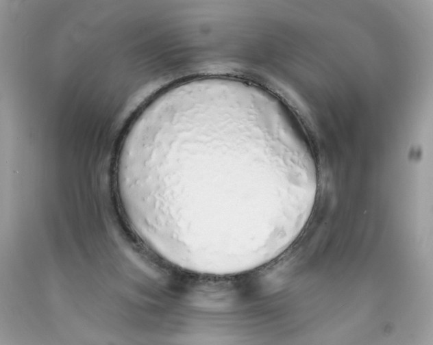 X0000089940155200707201911