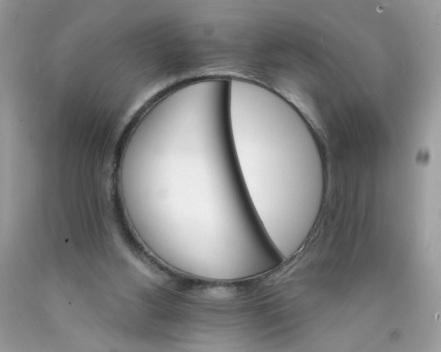 X0000089940156200707201911