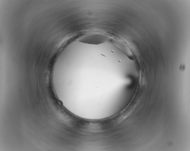 X0000089940157200707201911