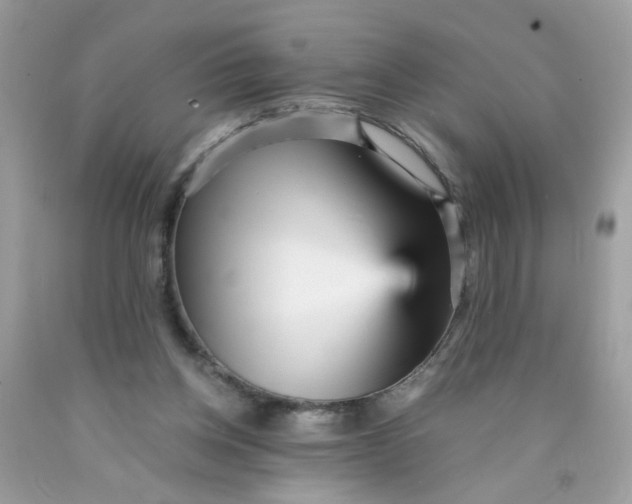 X0000089940158200707201911