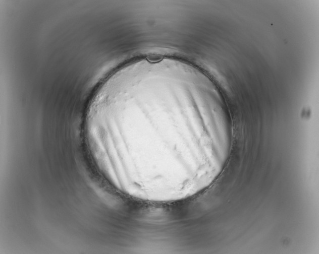 X0000089940159200707201911