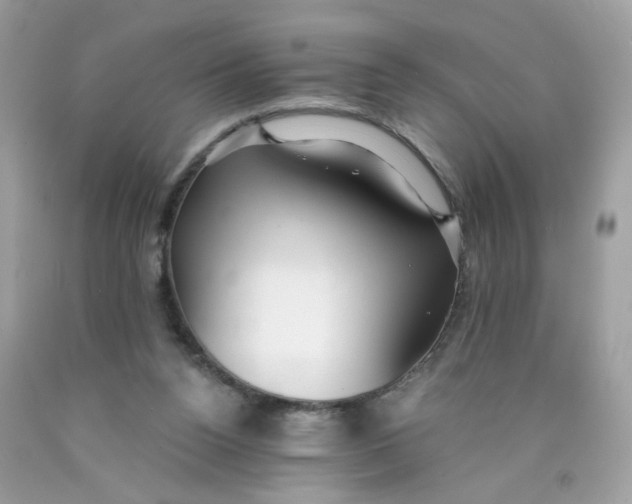 X0000089940160200707201911
