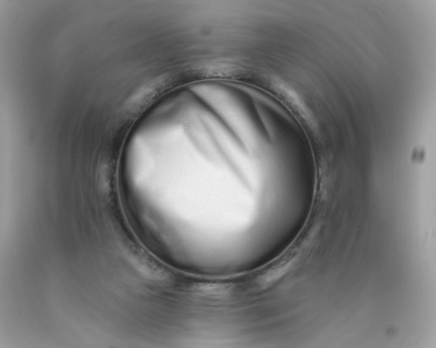 X0000089940161200707201911