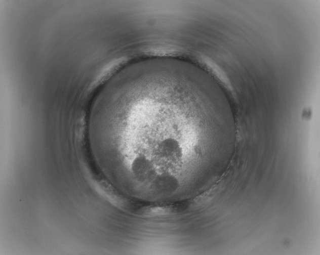 X0000089940163200707201911