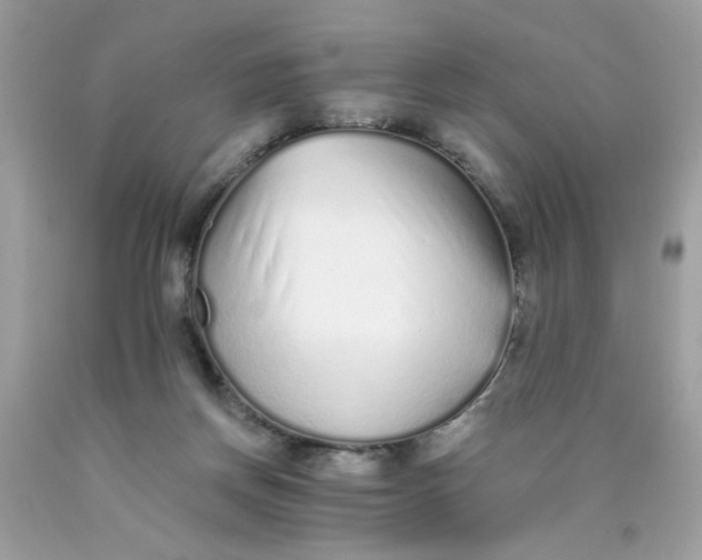X0000089940166200707201911