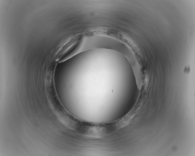 X0000089940168200707201911