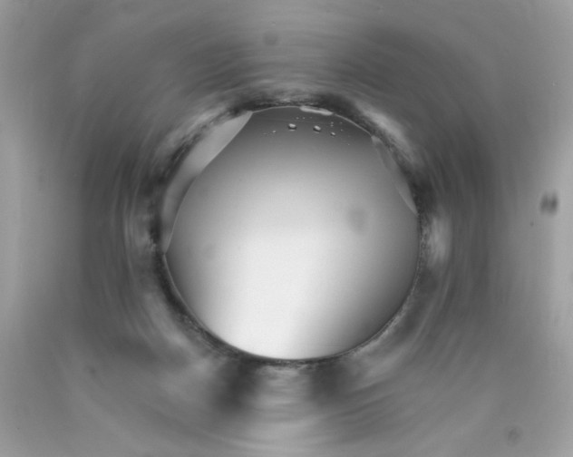 X0000089940170200707201911