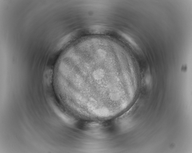X0000089940171200707201911