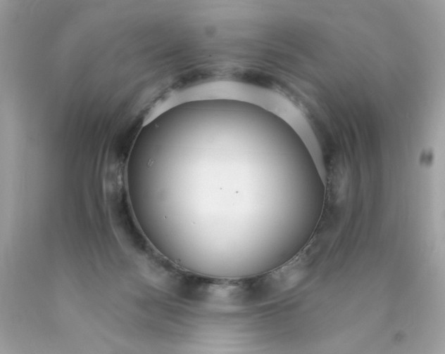 X0000089940172200707201911