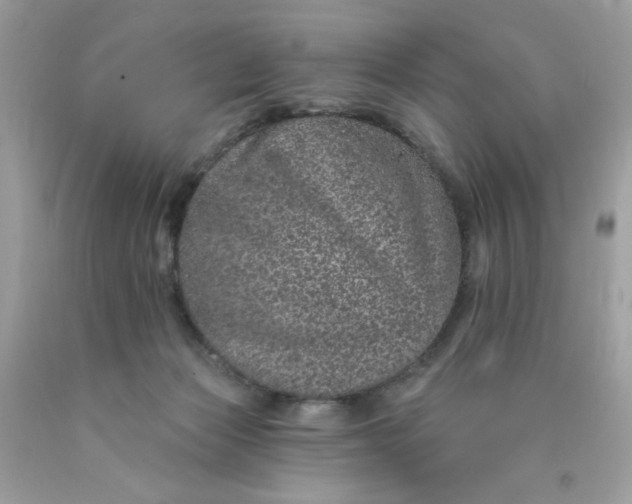 X0000089940173200707201911