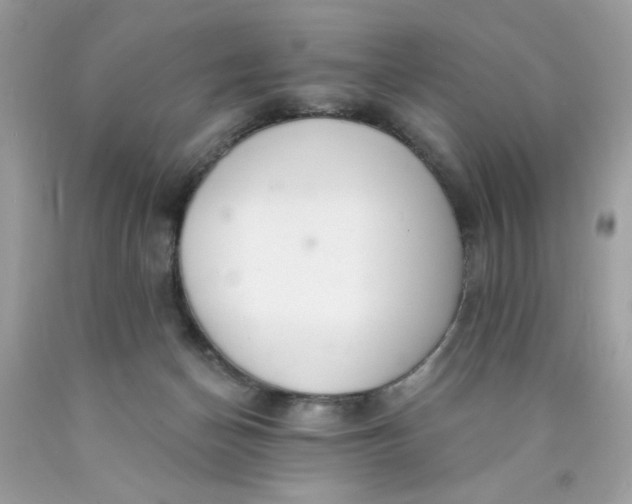 X0000089940174200707201911