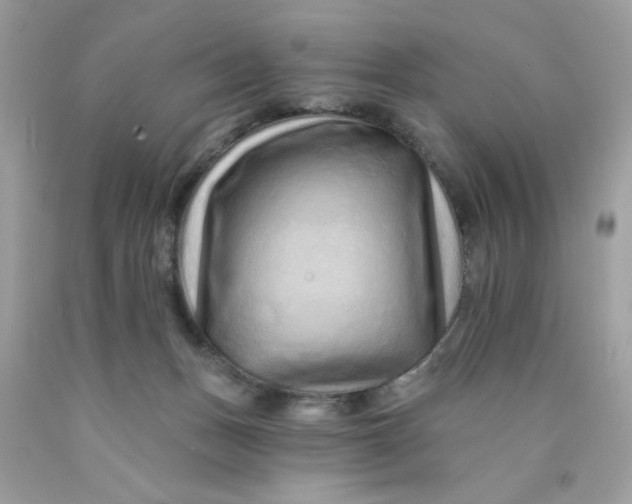 X0000089940175200707201911