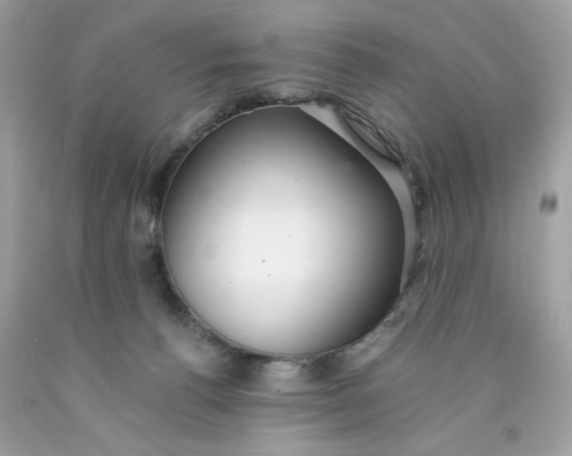 X0000089940176200707201911