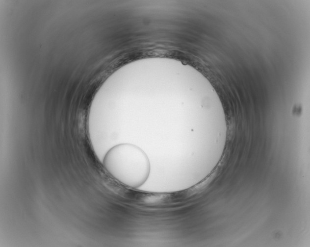 X0000089940178200707201911