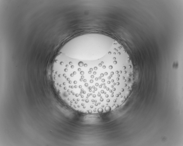 X0000089940179200707201911