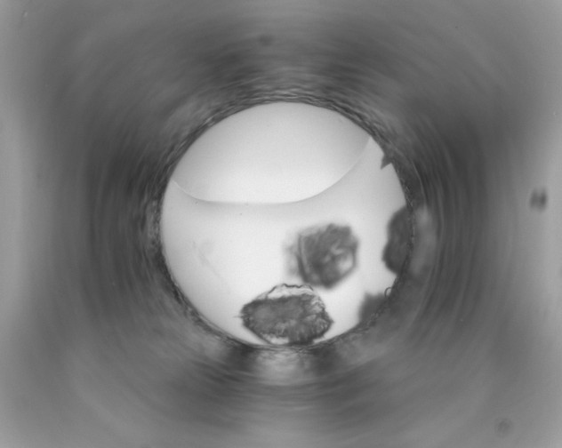 X0000089940181200707201911