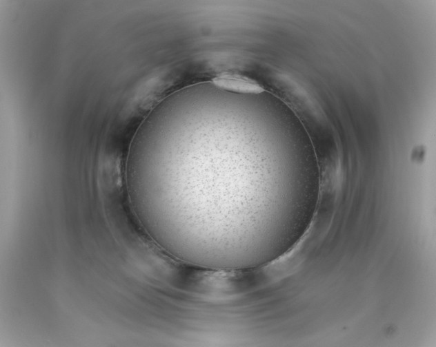 X0000089940182200707201911