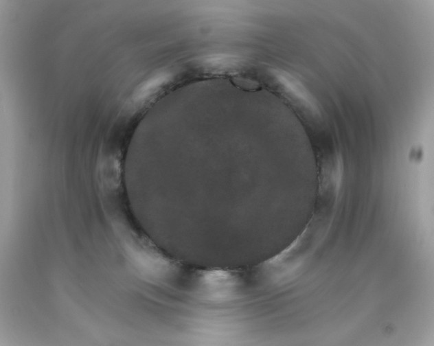 X0000089940183200707201911