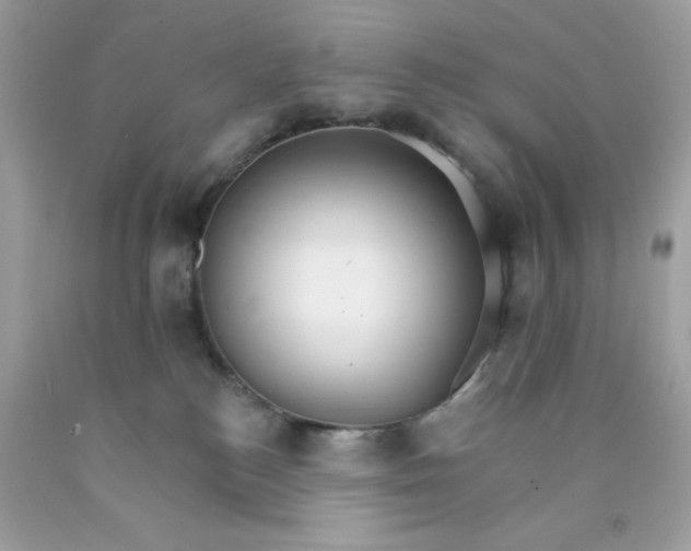 X0000089940184200707201911