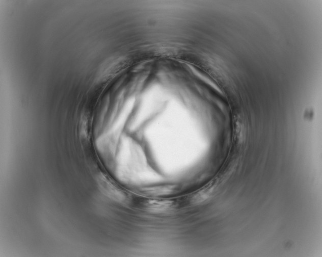 X0000089940185200707201911