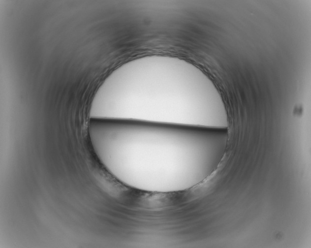 X0000089940186200707201911