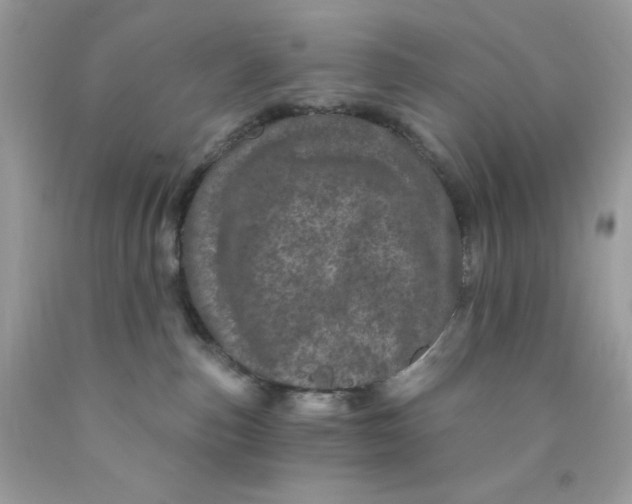 X0000089940187200707201911