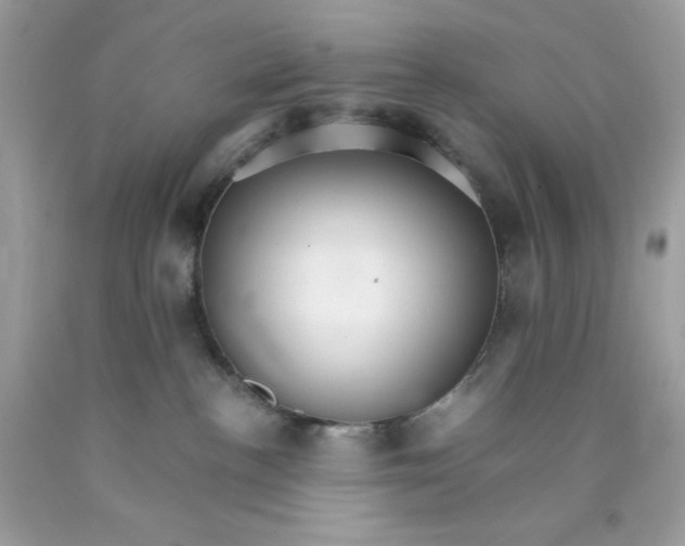 X0000089940188200707201911