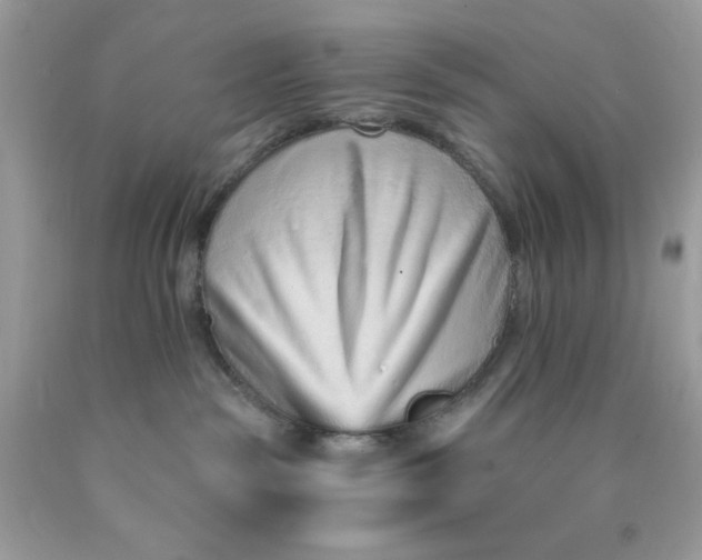 X0000089940189200707201911