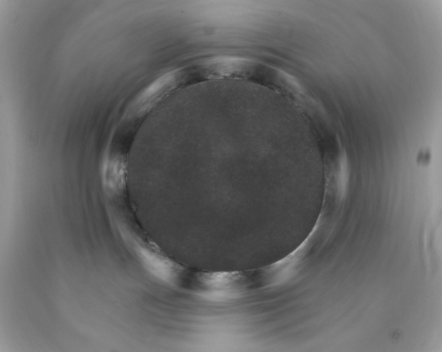 X0000089940191200707201911