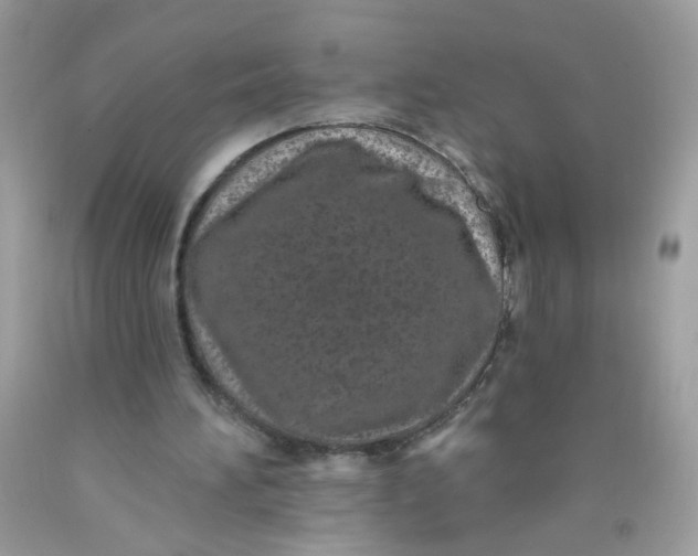 X0000089940196200707201911