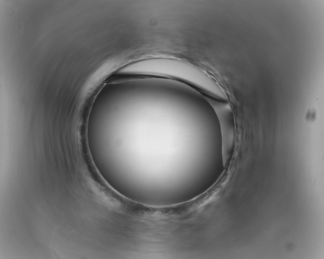 X0000089940197200707201911