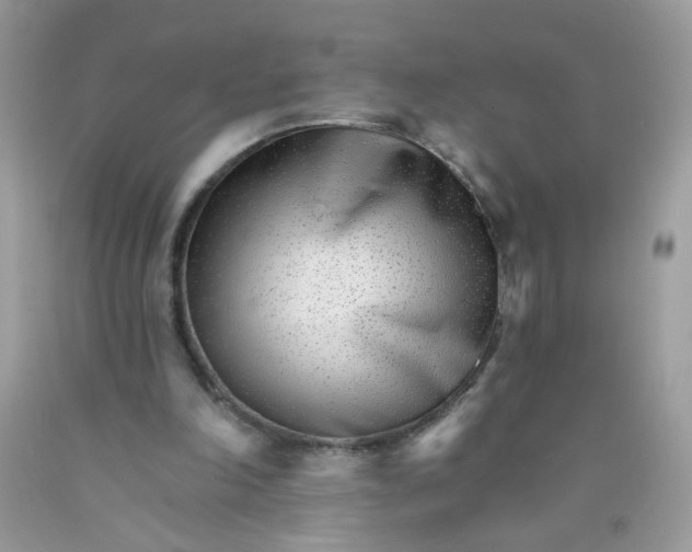 X0000089940198200707201911