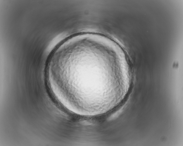 X0000089940199200707201911