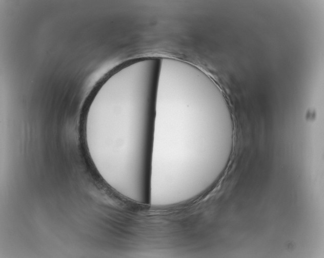 X0000089940200200707201911