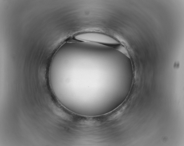 X0000089940201200707201911
