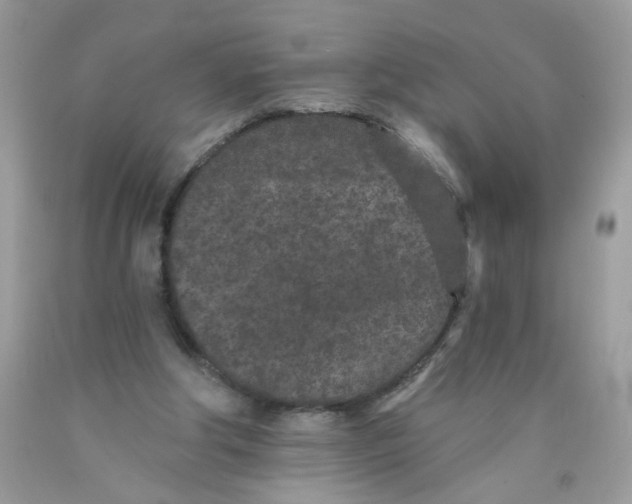 X0000089940202200707201911