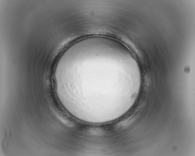 X0000089940203200707201911