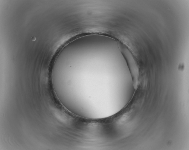 X0000089940204200707201911