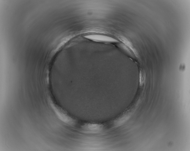 X0000089940205200707201911