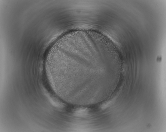 X0000089940206200707201911