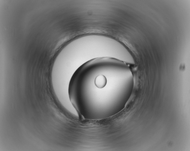 X0000089940207200707201911